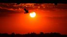 Dia do Sol em Curitiba.Foto: José Fernando Ogura