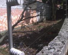 CONSEG Juvevê coordenou a limpeza do terreno baldio na Rua Euzébio da Motta