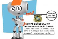 Polícia Científica auxilia na elaboração de cartilha de segurança para internet
