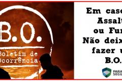 Coordenação dos CONSEGs inicia uma campanha sobre a importância de fazer o registro do Boletim de Ocorrência