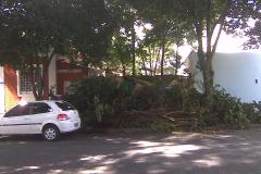 CONSEG Juvevê coordenou a limpeza do terreno baldio na Rua Euzébio da Motta