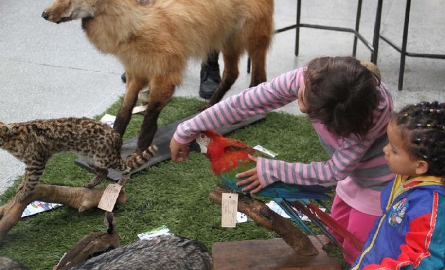 Dia das crianças é comemorado com festa em todas as UPSs da capital
