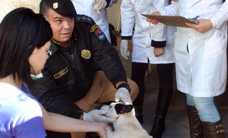 UPS Vila Osternack recebe ações do Governo do Estado