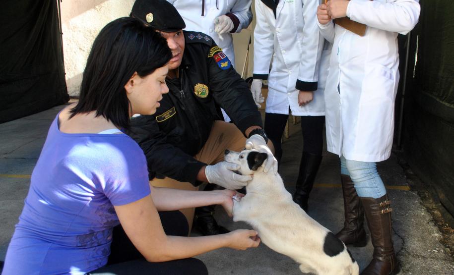UPS Vila Osternack recebe ações do Governo do Estado