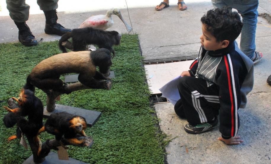UPS Vila Osternack recebe ações do Governo do Estado