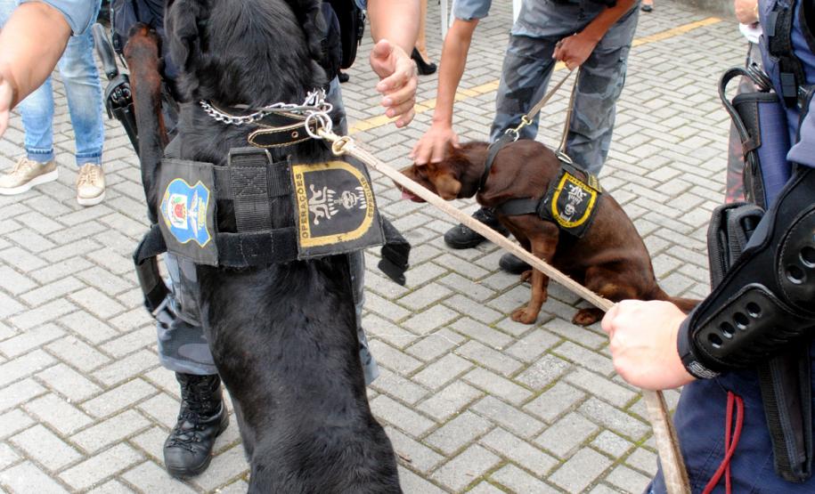 Comunidade da Vila Trindade em Curitiba recebe a Feira de Serviços gratuitos da UPS Cidadania
