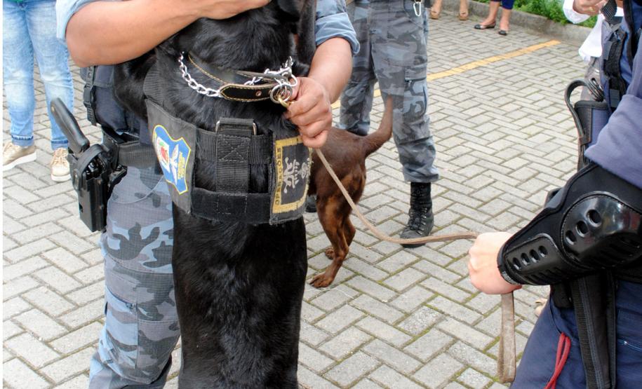 Comunidade da Vila Trindade em Curitiba recebe a Feira de Serviços gratuitos da UPS Cidadania