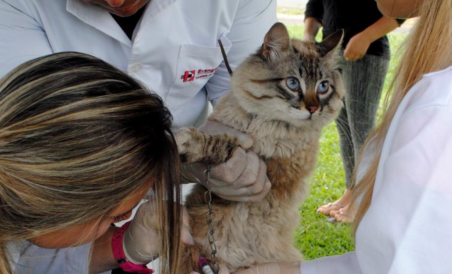 Comunidade da Vila Trindade em Curitiba recebe a Feira de Serviços gratuitos da UPS Cidadania