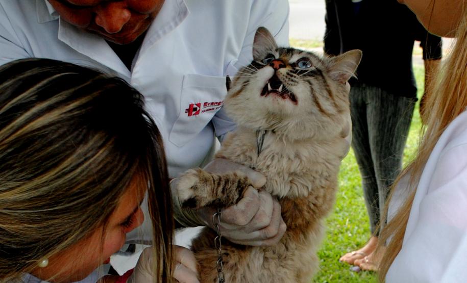 Comunidade da Vila Trindade em Curitiba recebe a Feira de Serviços gratuitos da UPS Cidadania
