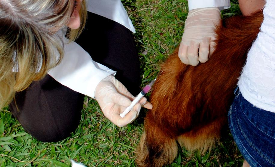 Comunidade da Vila Trindade em Curitiba recebe a Feira de Serviços gratuitos da UPS Cidadania