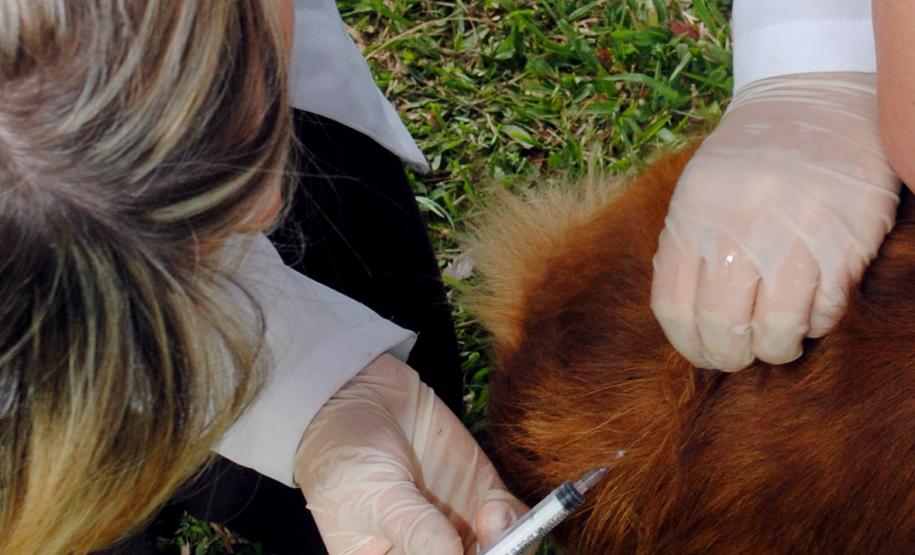 Comunidade da Vila Trindade em Curitiba recebe a Feira de Serviços gratuitos da UPS Cidadania