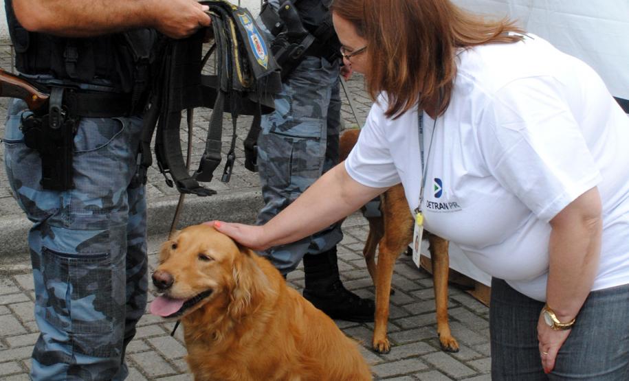 UPS CIDADANIA - Sociedade em Movimento para a Cultura da Paz - Vila Trindade - Cajurú