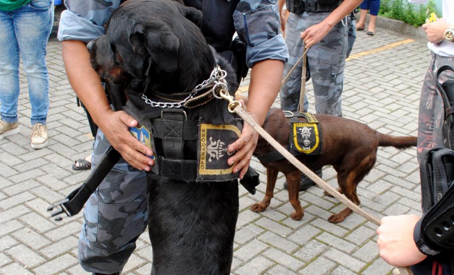 Comunidade da Vila Trindade em Curitiba recebe a Feira de Serviços gratuitos da UPS Cidadania