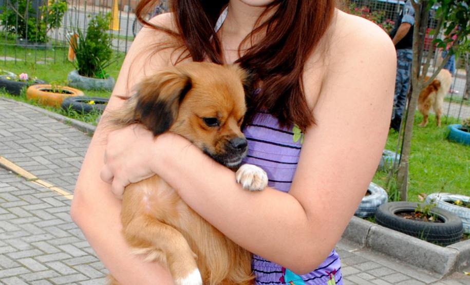 Comunidade da Vila Trindade em Curitiba recebe a Feira de Serviços gratuitos da UPS Cidadania