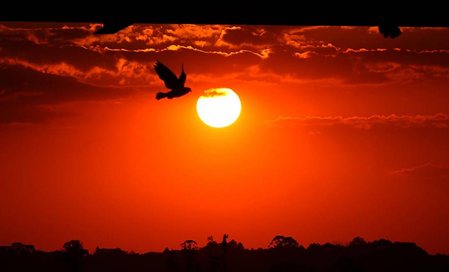 Dia do Sol em Curitiba.Foto: José Fernando Ogura