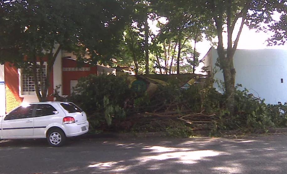 CONSEG Juvevê coordenou a limpeza do terreno baldio na Rua Euzébio da Motta
