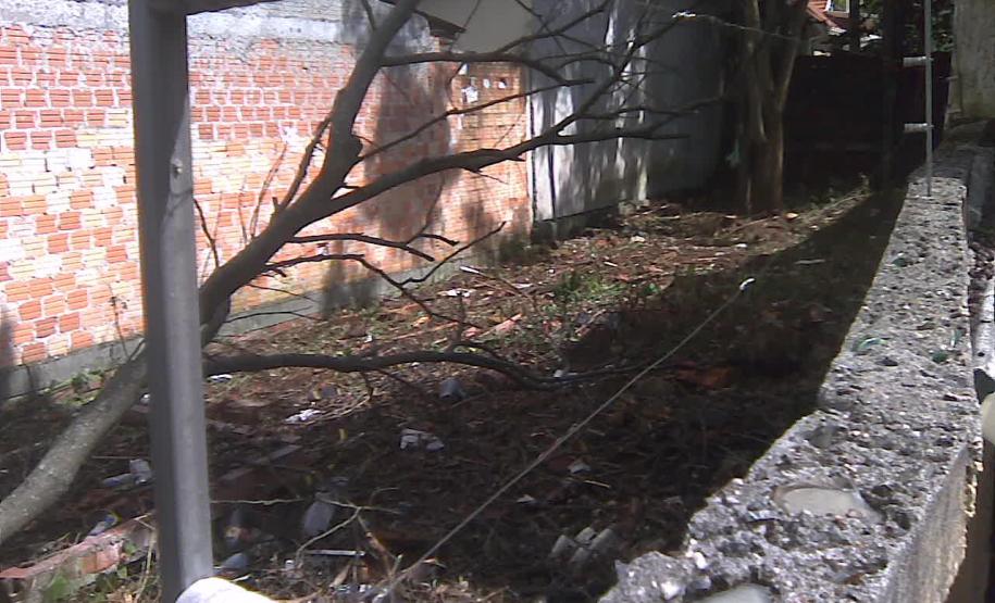 CONSEG Juvevê coordenou a limpeza do terreno baldio na Rua Euzébio da Motta